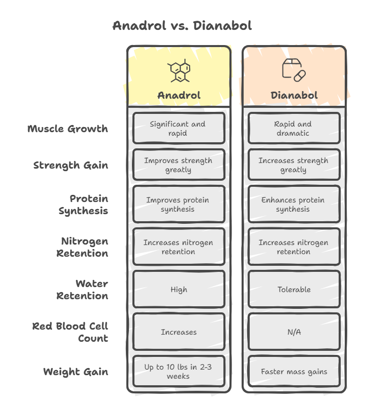 Figure: Breakdown of Muscle Growth and Strength Gains Figure: Breakdown of Muscle Growth and Strength Gains