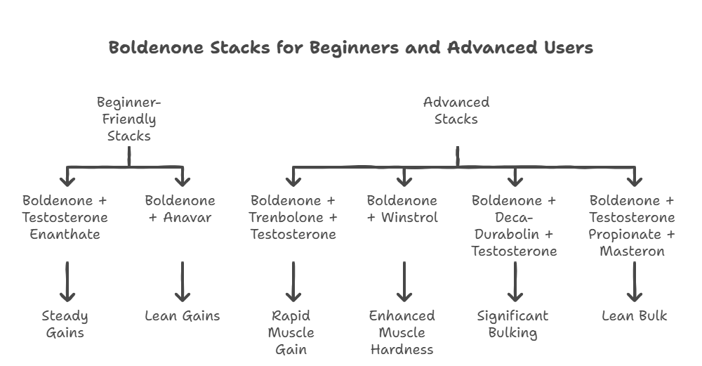 Boldenone Stacks for Beginners and Advanced Users Boldenone Stacks for Beginners and Advanced Users